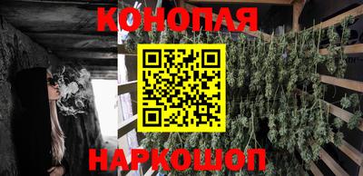 ешки Дубна