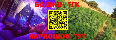ешки Дубна