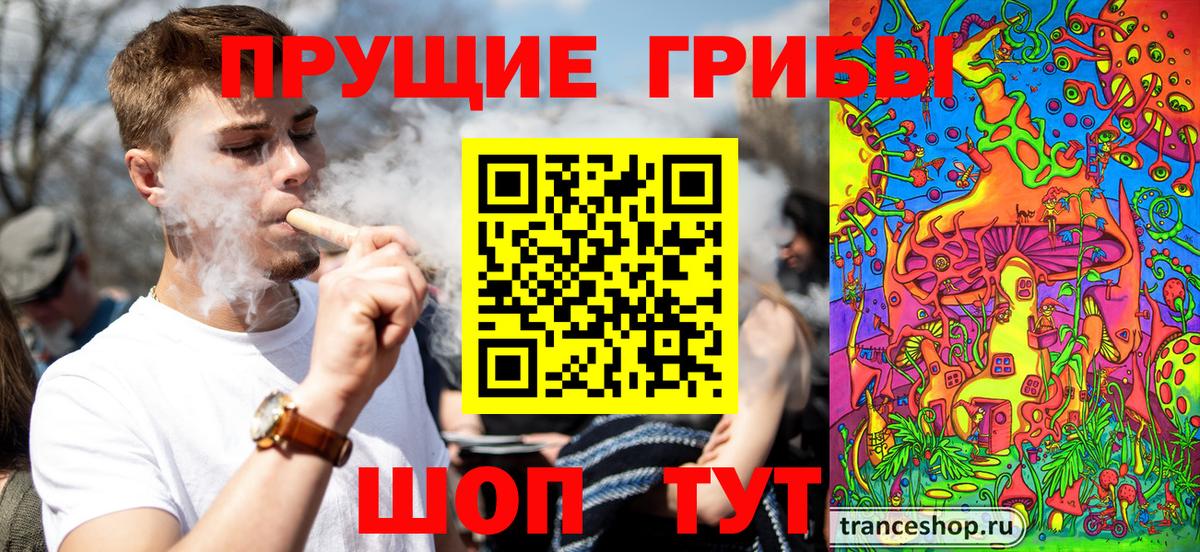 Луга  Галлюциногенные грибы ЛСД  Вход с VPN 