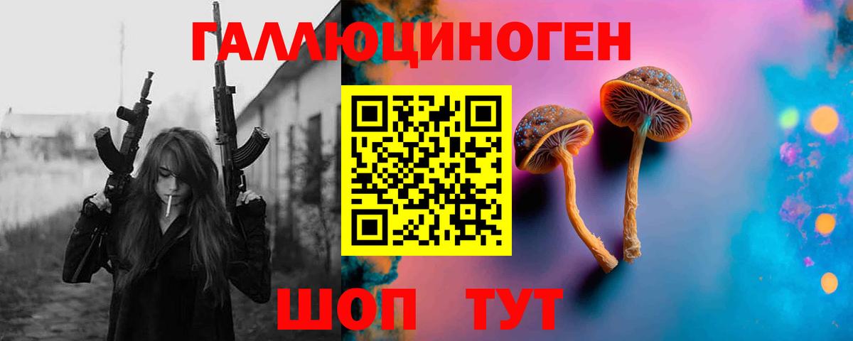 Псилоцибиновые грибы GOLDEN TEACHER Луга
