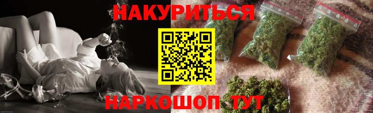 Каннабис сатива Луга